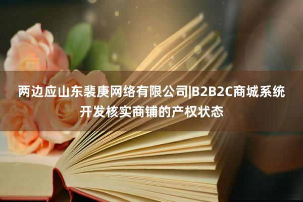两边应山东裴庚网络有限公司|B2B2C商城系统开发核实商铺的产权状态