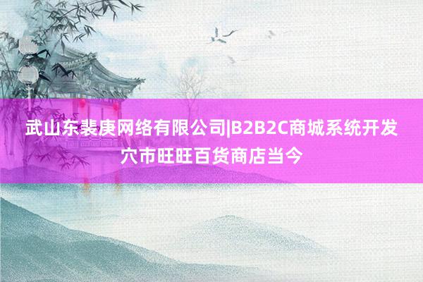 武山东裴庚网络有限公司|B2B2C商城系统开发穴市旺旺百货商店当今