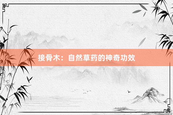 接骨木：自然草药的神奇功效